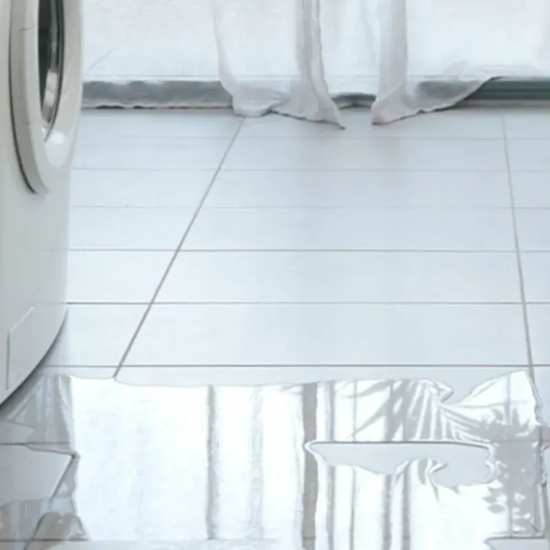 Appliance Leak Cleanup in Shannon, GA