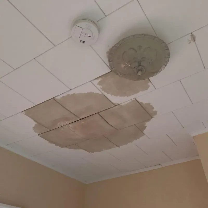Ceiling Water Damage Repair in Shannon, GA