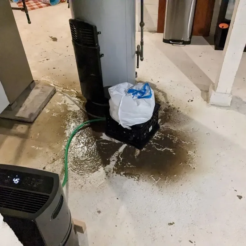 Sewage Backup Cleanup Service in Shannon, GA